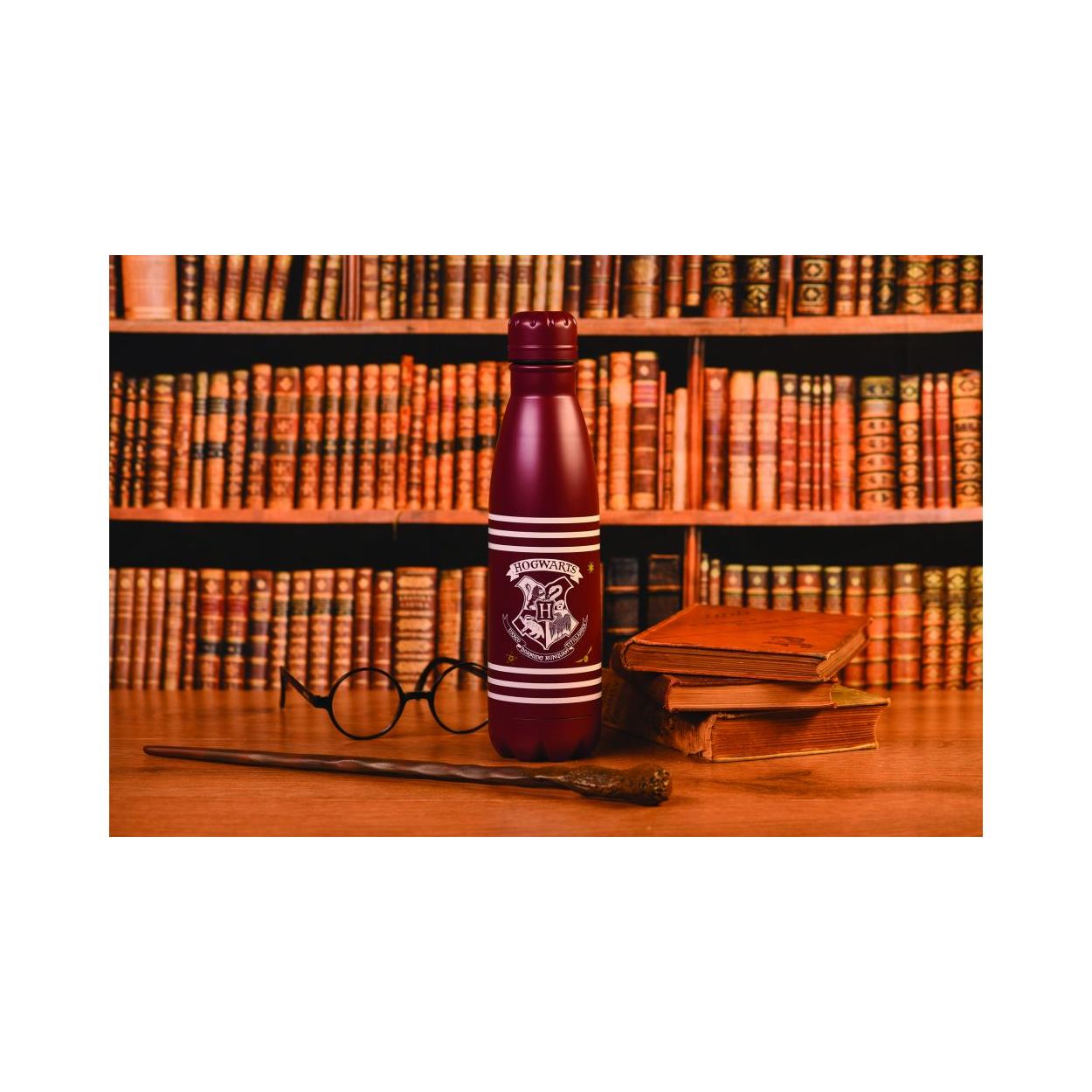 Pyramid Harry Potter - Crest & Stripes Metal Drinks Bottle (550ml) (MDB25453) - Sunday Habit