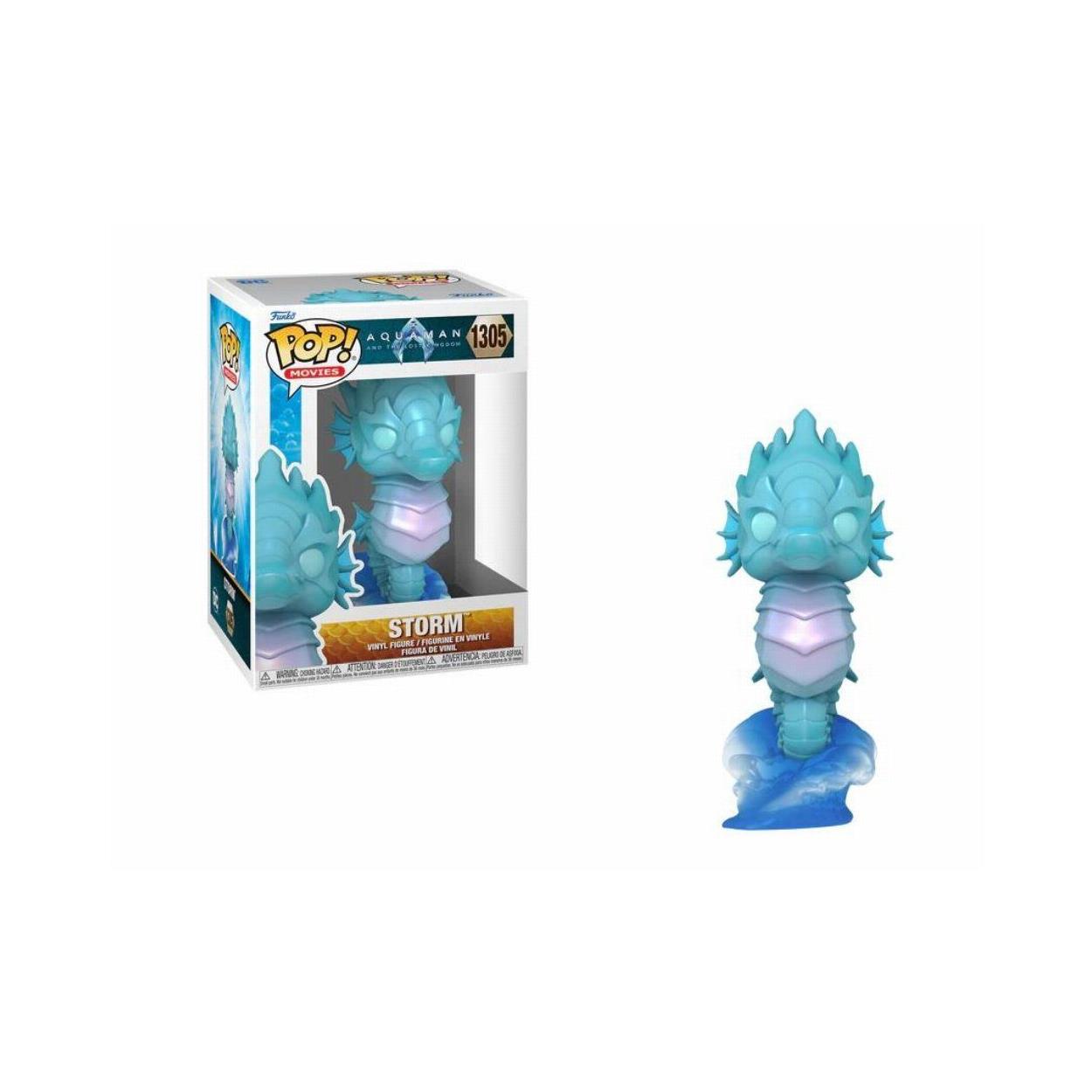 Funko Pop! Movies: Aquaman and the Lost Kingdom - Storm #1305 Vinyl Figure - Sunday Habit