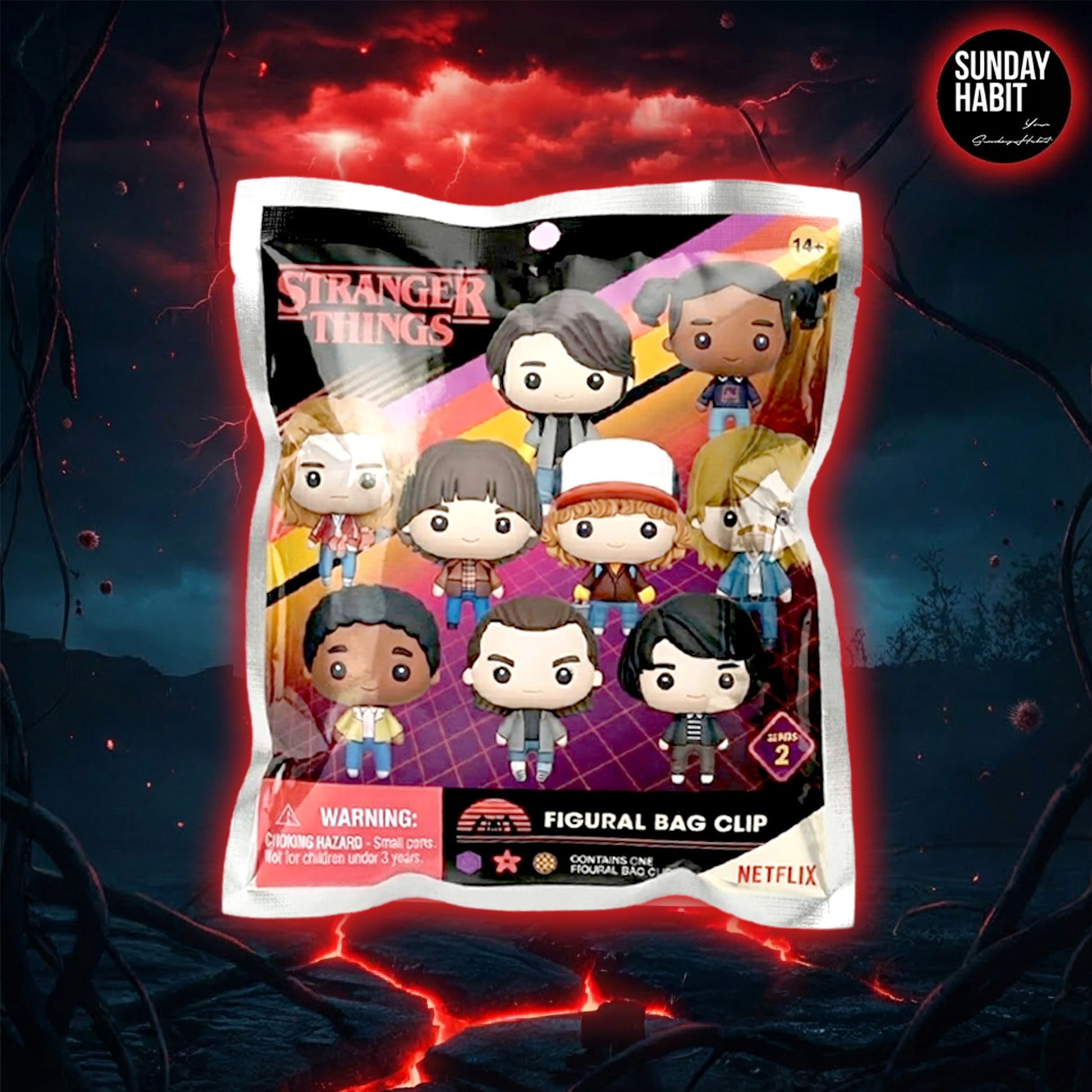 Stranger Things (Series2) (Blind Bag/Random) 3D Foam Bag Clips Figures (32505) - Sunday Habit