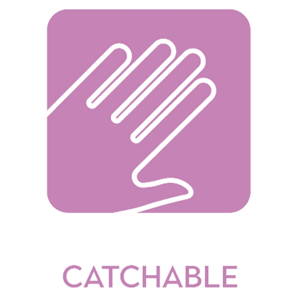 catchable